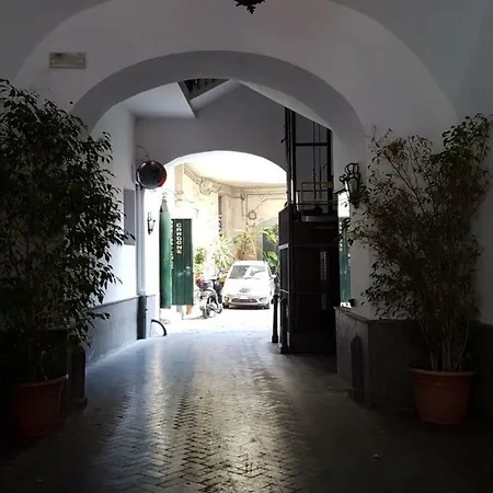 St Annas Roofs By Dimorra *